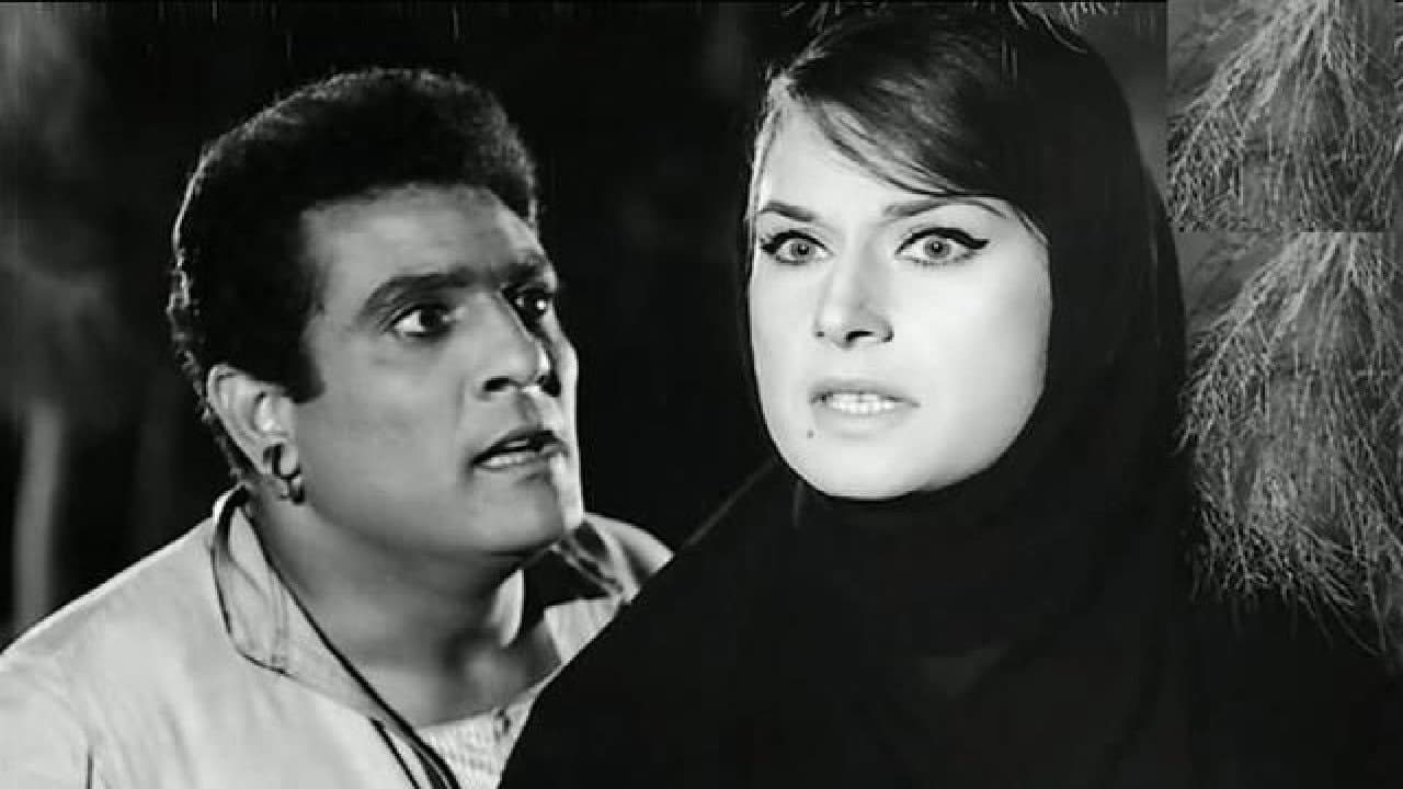 Mervat Saeed