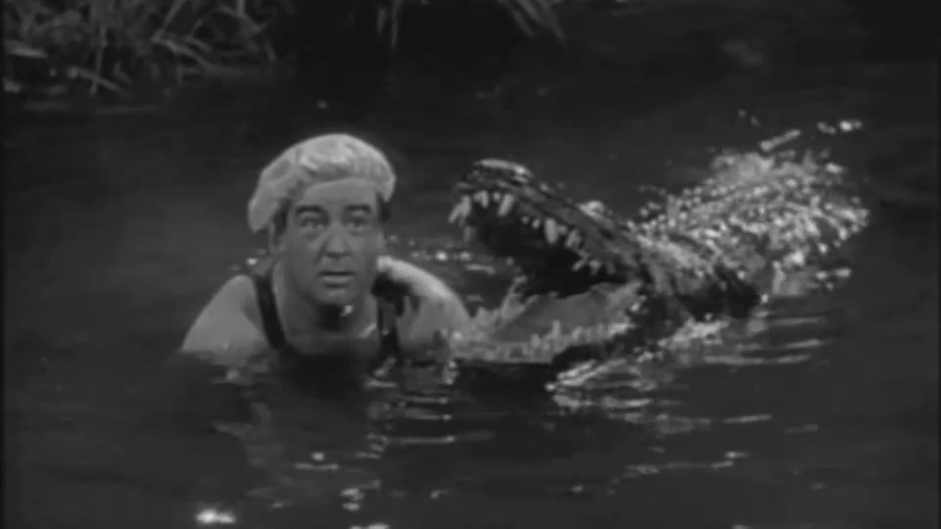 Joe Besser