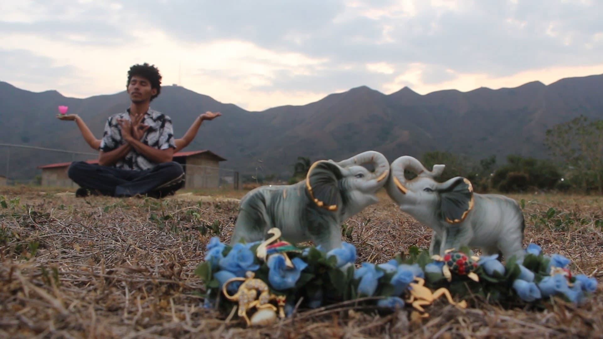 The End of Samsara