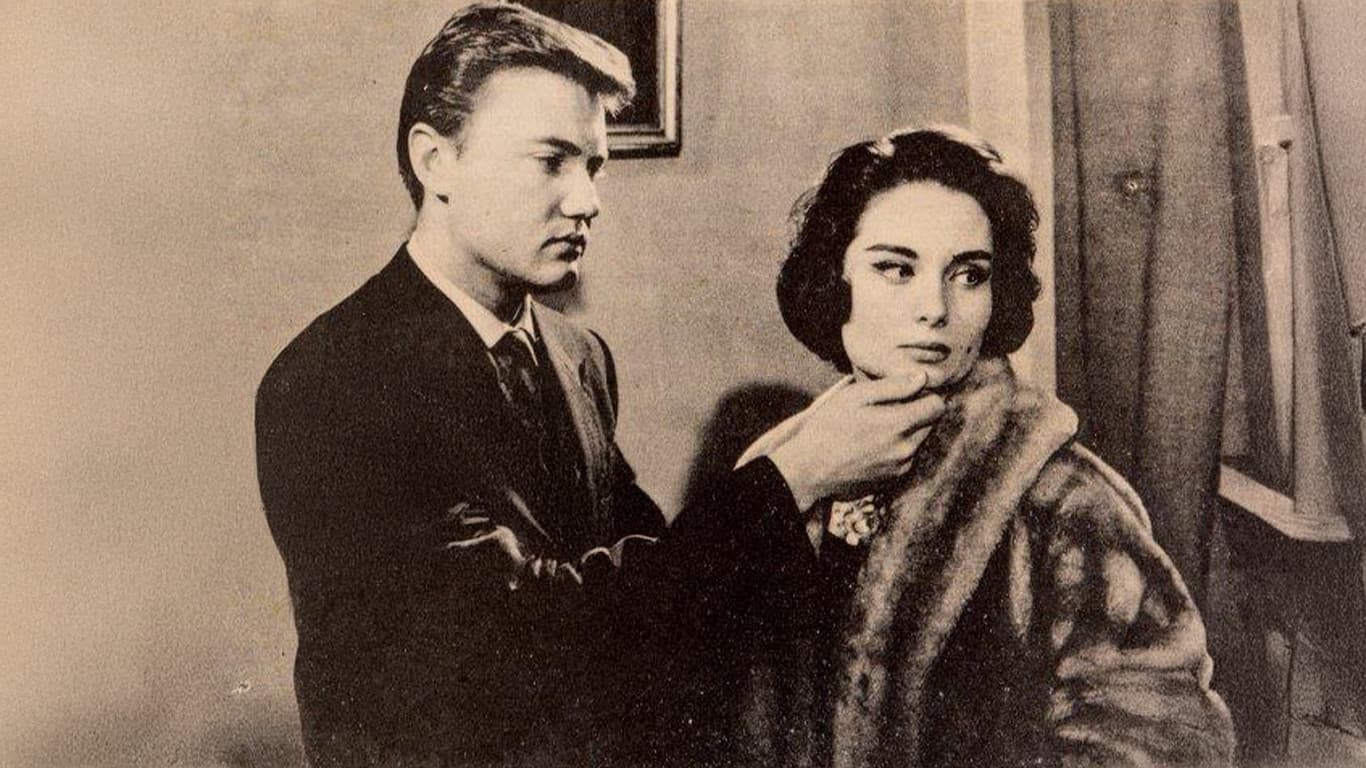 Belgin Doruk