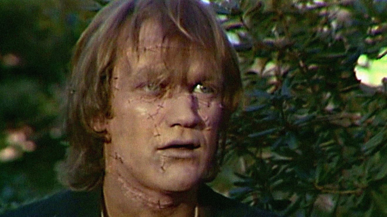 Willie Aames