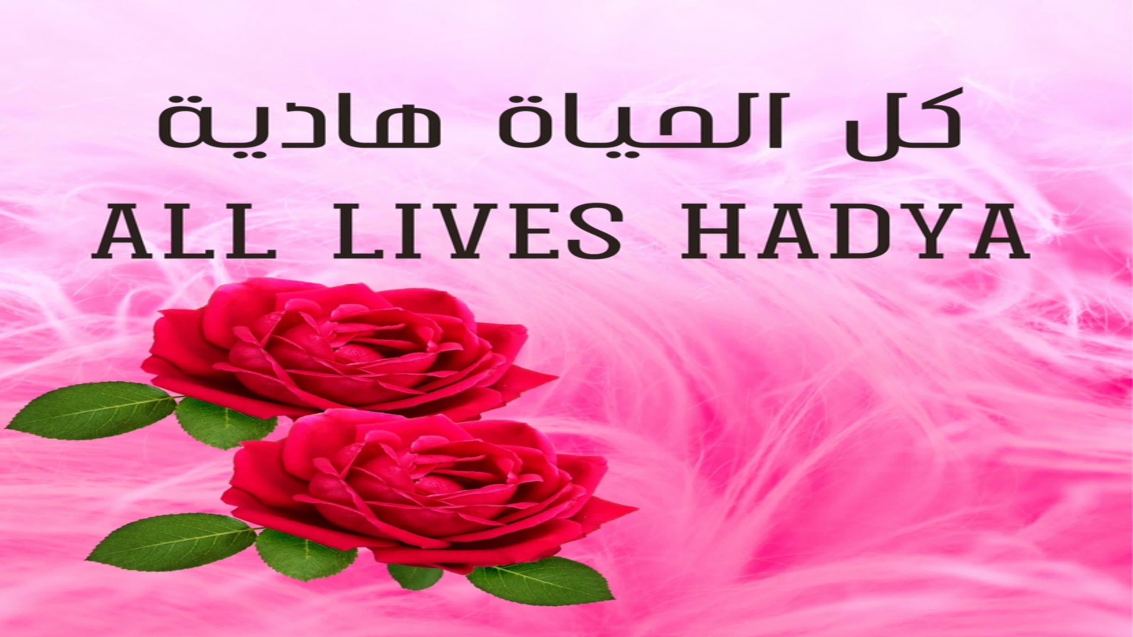 Nader El Bilany