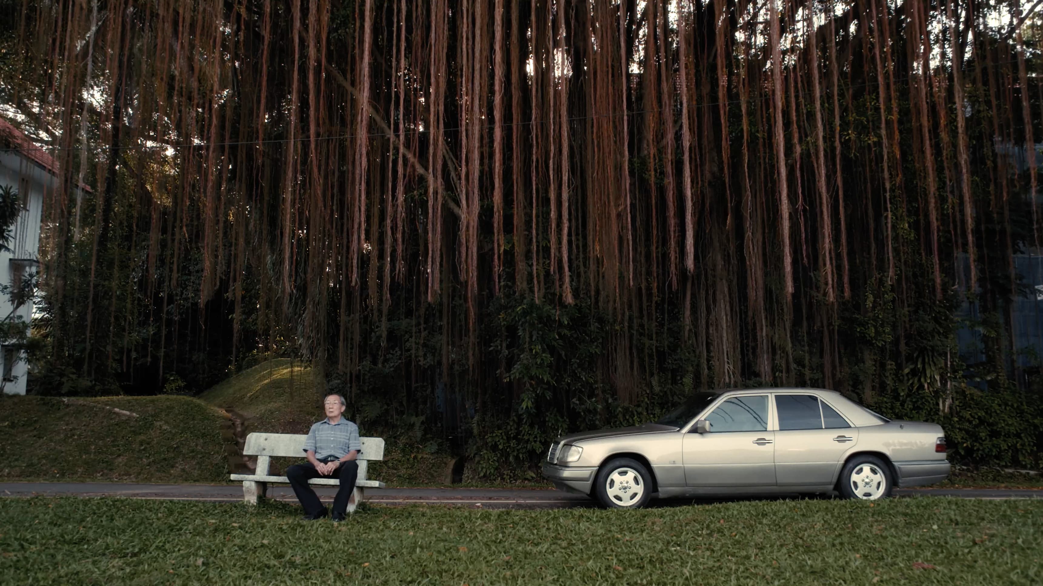 The Old Man and His Car