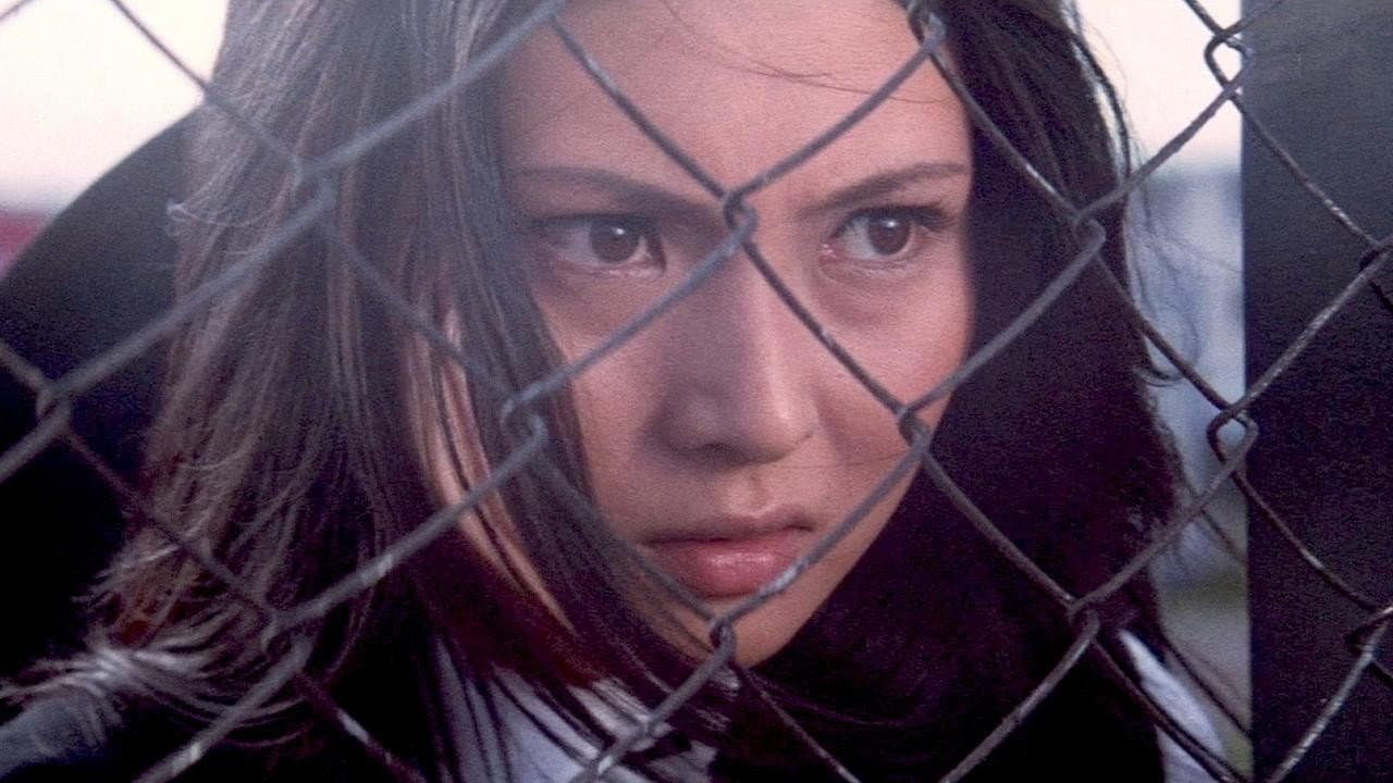 Yuki Arikawa