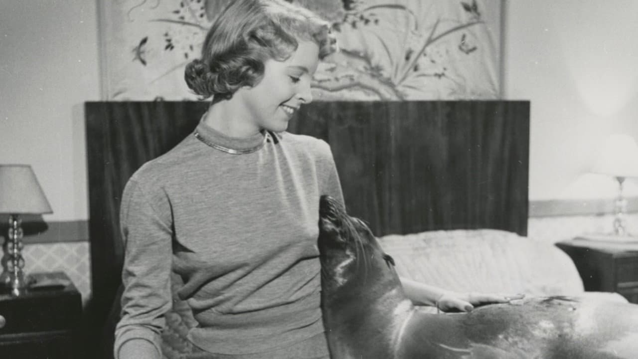 Barbro Larsson