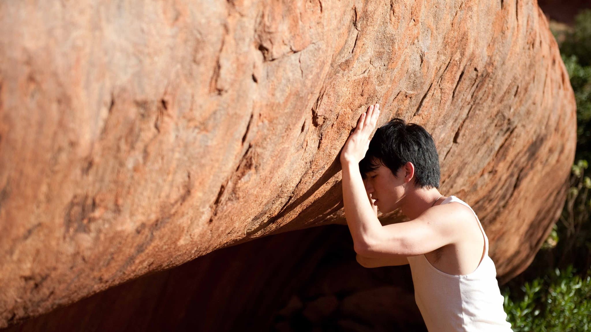 Ryan Zhu