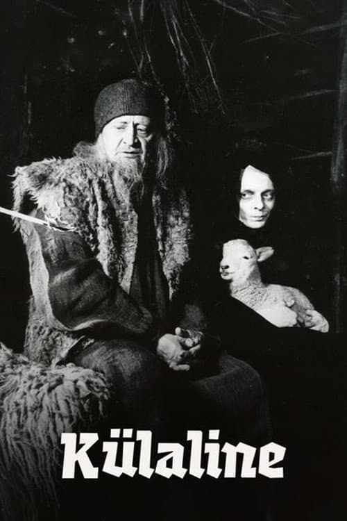 The Visitor